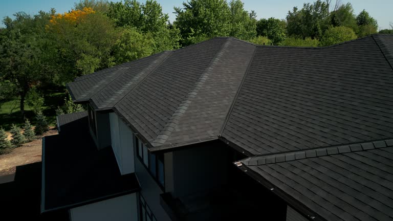 Best Roof Ventilation Installation  in Walnut Park, CA