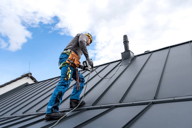 Best Gutter Installation and Repair  in Walnut Park, CA
